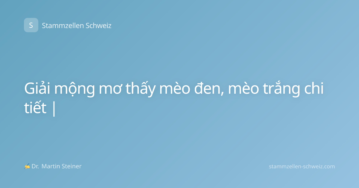 Giải mộng mơ thấy mèo đen, mèo trắng chi tiết |
