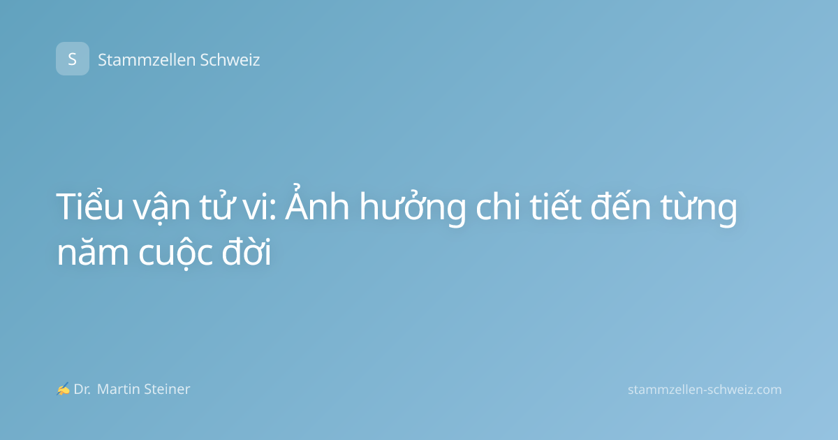 Tiểu vận tử vi: Ảnh hưởng chi tiết đến từng năm cuộc đời